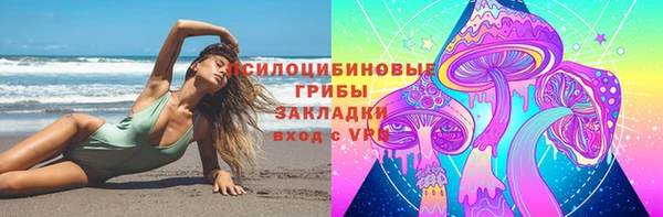 гашик Алзамай