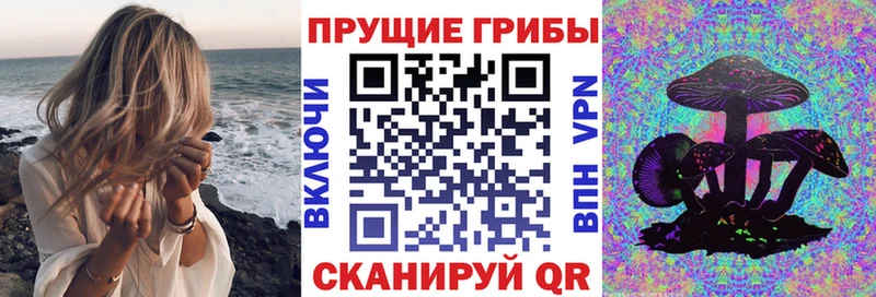 цены наркотик  Зверево  Псилоцибиновые грибы Psilocybe 